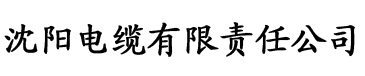 欧美性大战电缆厂logo